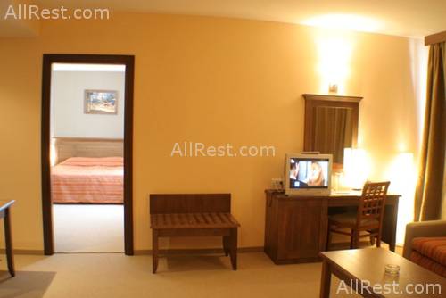 Lion Hotel 9